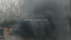 «Тазалык» потушил пожар мусорной площадке на Рыскулова. Ответ мэрии