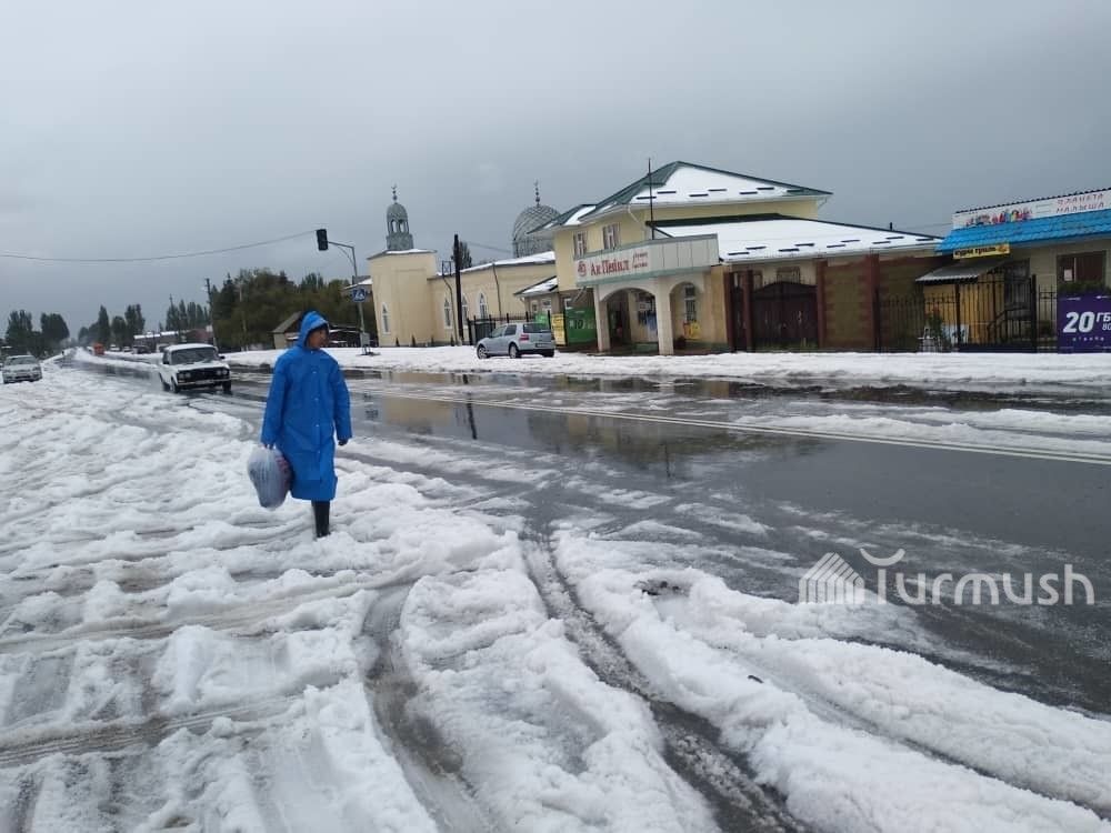 Аба ырайы базар коргон