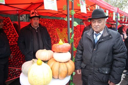 Погода кыргызстан ноокате. Базар ноокат. Ош ноокат. Ноокат Киргизия. Город ноокат.